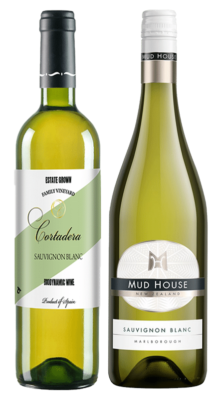 זוג יינות סוביניון בלאן באווירה טרופית